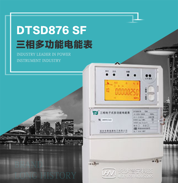 產(chǎn)品型號(hào)：DTSD876 SF型 三相多功能電能表
精度等級(jí)：有功0.5級(jí) 1級(jí)；無(wú)功2級(jí) 
額定電壓： 3×100V 3×57.7/100V 3×220/380V 
額定電流： 1.5(6)A 5(20)A 10(40)A 15(60)A 20(80)A 30(100)A 
頻 率： -40℃～+70℃ 
工作溫度：≤0.5S 
顯示方式： ≥1000mAh 
整機(jī)功耗： ≥10年 
重量： 約2.4kg 
外形尺寸： 293mm×175mm×80mm